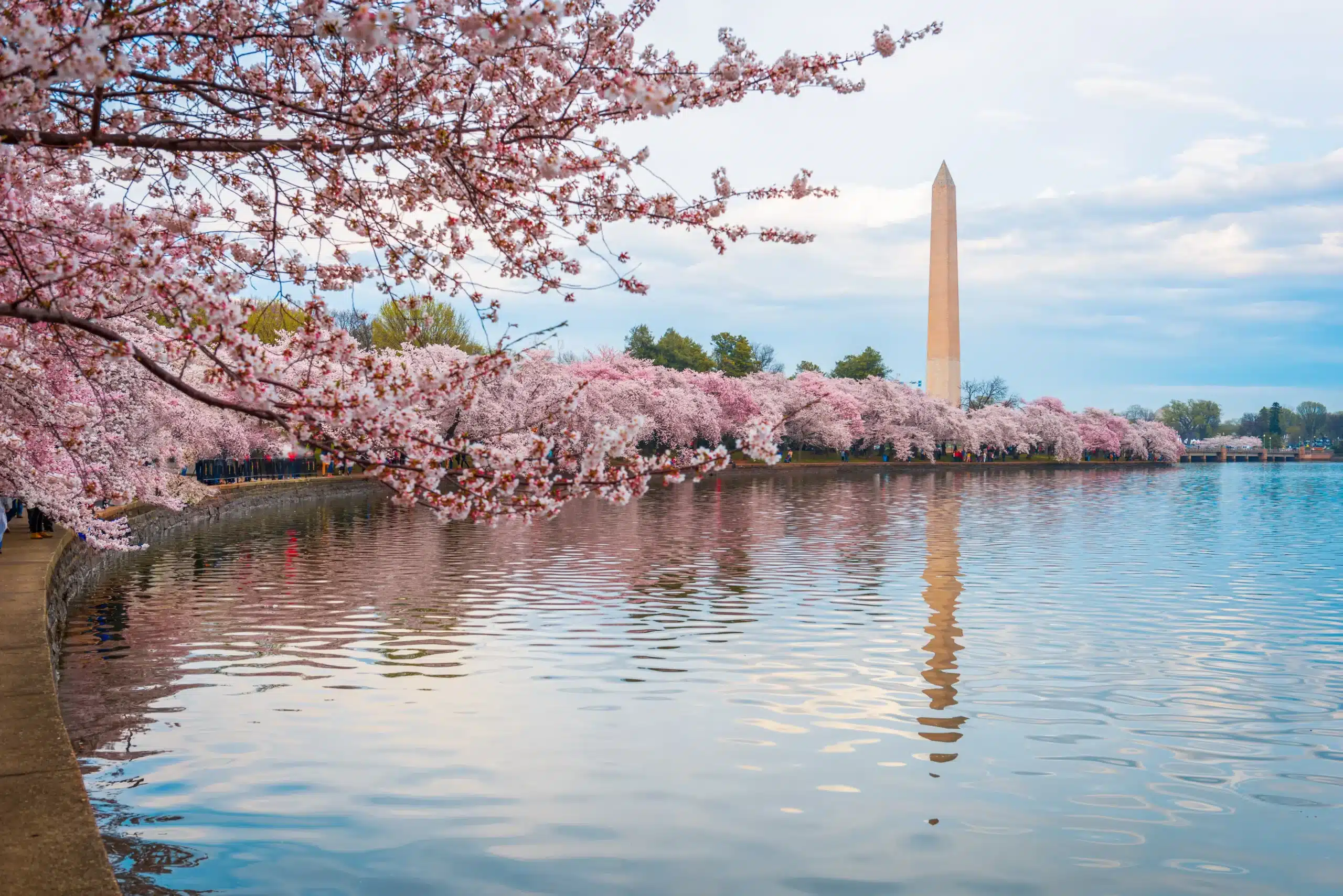 washington-dc-